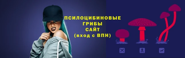 гидра Няндома