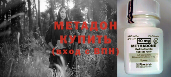 гидра Няндома