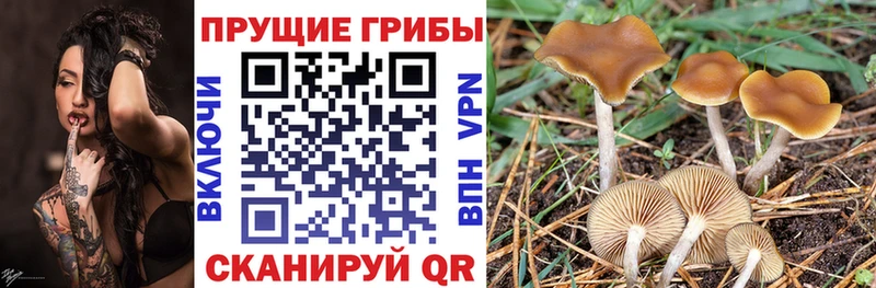 Галлюциногенные грибы Magic Shrooms  Петушки 