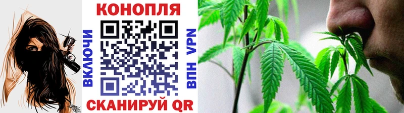 Конопля гибрид Петушки